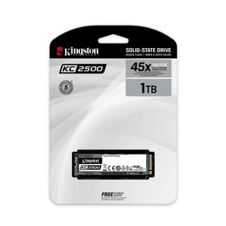 SATA SOLID STATE DRIVE SKC2500M8/1000G