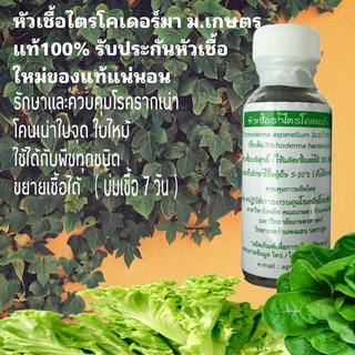 หัวเชื้อไตรโคเดอร์มาแท้ 100% 1 ขวด