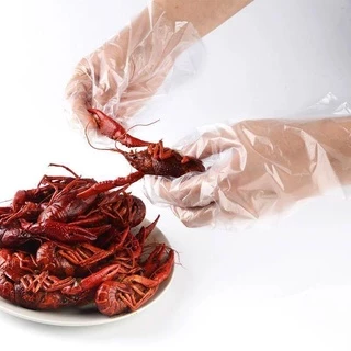 ถุงมือพลาสติกใส หนา เหนียว (Food Grade) 100 ชิ้น 🤗🖐👍Disposable Plastic Gloves สัมผัสอาหารได้ ปลอดภัย 👍👍