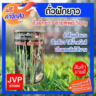 **ส่งฟรี**เมล็ดถั่วฝักยาวสายทิพย์ 500g. ตราภูเขาทอง ลำต้นแข็งแรง ฝักเขียว ให้น้ำหนักดี ระยะการเก็บเกี่ยวนาน