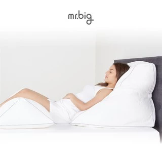 mr.big GERD Pillow หมอน Ergonomic สำหรับผู้ป่วยกรดไหลย้อน ปรับระดับได้ พร้อมปลอกถอดซัก
