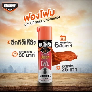 Chaindrite เชนไดร้ท์ โฟมกำจัดปลวก แมลงสาบและมด ขนาด 250 ml.