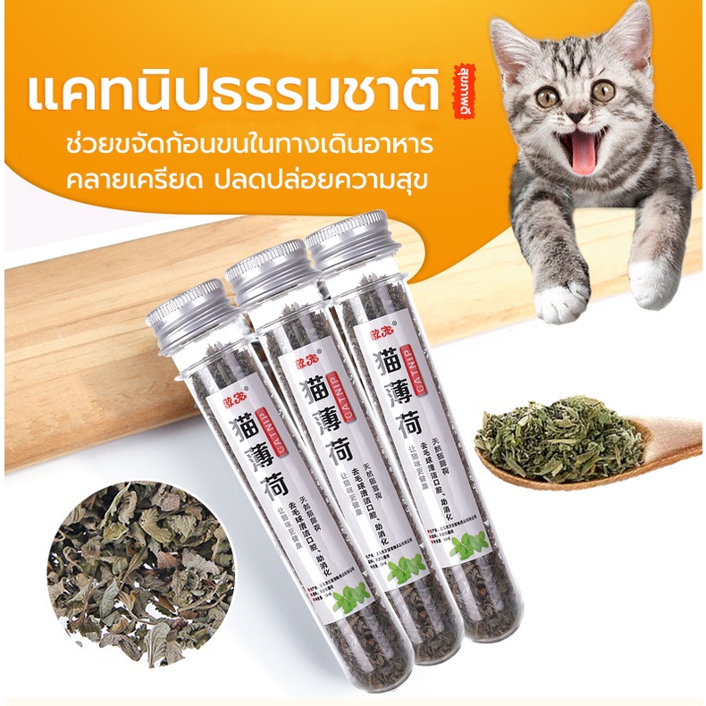 กัญชาแมว แคทนิป  แคทนิป Catnip สมุนไพรออร์แกนิคสำหรับแมวแบบหลอด 45ml