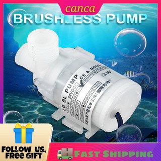 ✿canca✿ Ultra Quiet Mini DC 12V 12W White Food Grade Brushless Submersible Water Pump 3.5m Lift Head