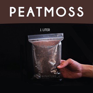 พีทมอส (peat moss) ใช้ปลูกกระบองเพชร หรือทำมอสบอลข