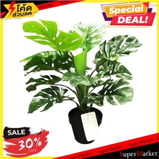 🌈BEST🌈 ต้นพลูฉีกประดิษฐ์  50 ซม. ARTIFICIAL MONSTERA SPRING 50CM 🛺💨