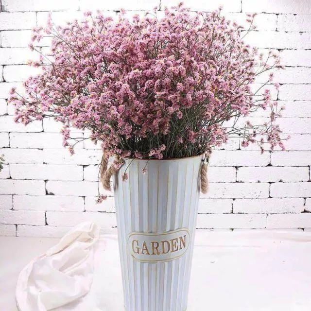 พร้อมส่ง COD ดอกสุ่ยแห้ง ดอกไม้ ดอกไม้แห้ง ดอกสุ่ยแห้ง สำหรับจัดช่อ ตกแต่งบ้าน คาเฟ่ งานฝีมือ มินิมอล วินเทจ ของชำร่วย
