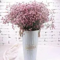 พร้อมส่ง COD ดอกสุ่ยแห้ง ดอกไม้ ดอกไม้แห้ง ดอกสุ่ยแห้ง สำหรับจัดช่อ ตกแต่งบ้าน คาเฟ่ งานฝีมือ มินิมอล วินเทจ ของชำร่วย