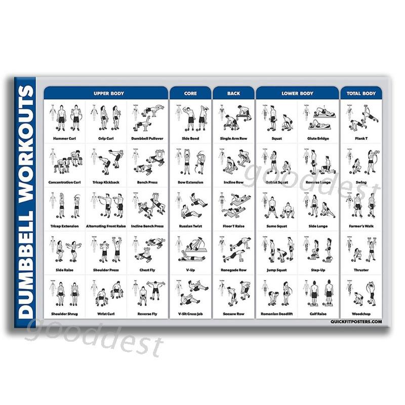 Dumbbell Workout Chart Printable Pdf Exercise Workout Prime Free