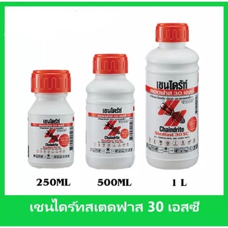 Chaindrite เชนไดร้ท์ สเตดฟาส 30 เอสซี น้ำยากำจัดปลวก ยาฆ่าปลวกแบบเข้มข้น ผสมน้ำ 60 เท่า เชนไดร์ท สเตดฟาส 30 เอส ซี