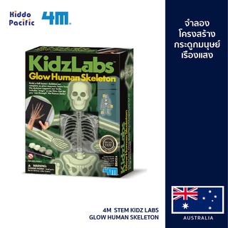 [ใช้ 2 โค้ดลดเพิ่ม] 4M  Stem Kidz Labs - Glow Human Skeleton ชุดของเล่น จำลองโครงสร้างกระดูกมนุษย์ พร้อมอุปกรณ์จำลองแผ่นเอ็กซ์เรย์กระดูกข้อมือ