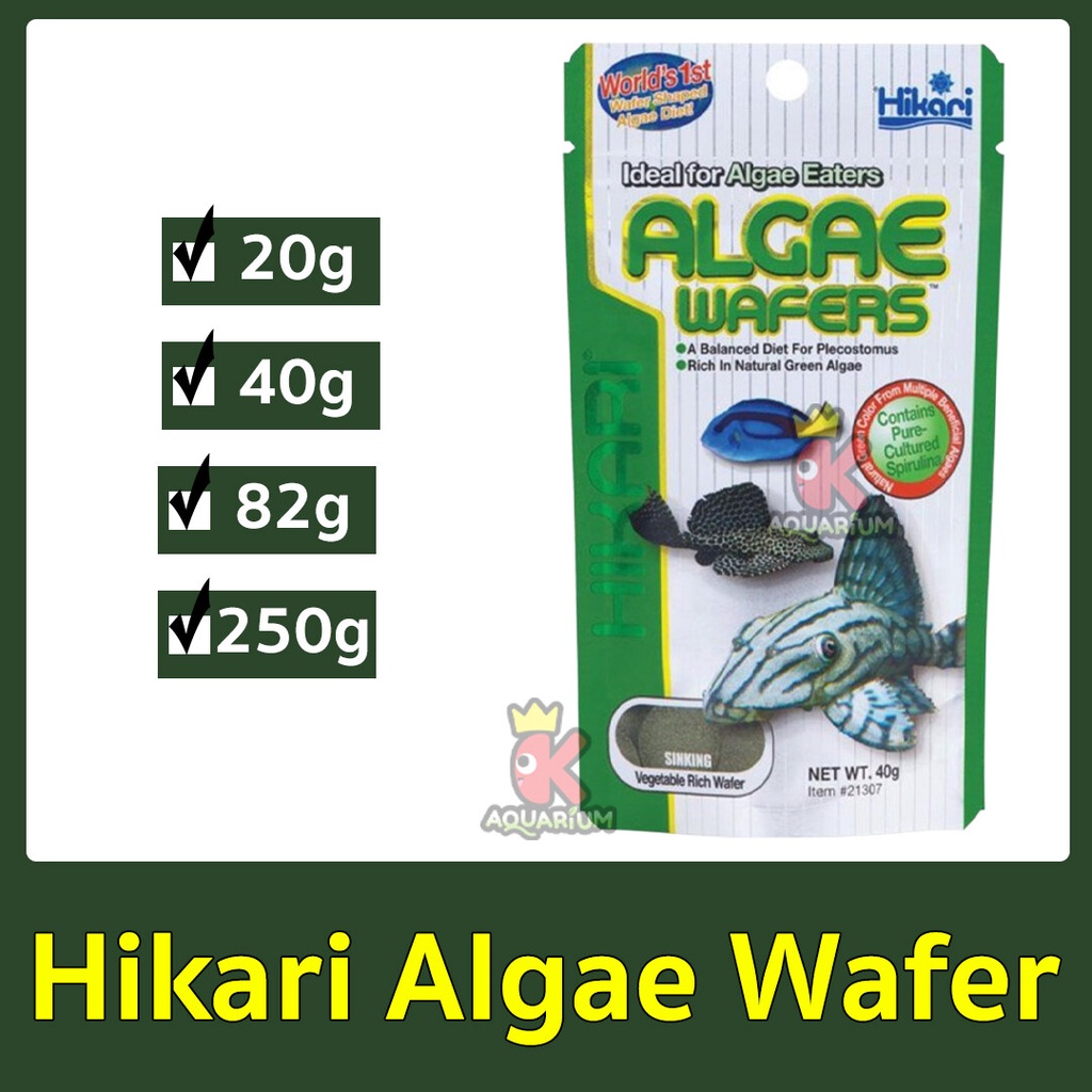 Hikari Algae Wafer อาหารปลา สำหรับปลากินพืช กินตะไคร่น้ำ ปลาแพะ ปลาหมู ชนิดแผ่นจมน้ำ