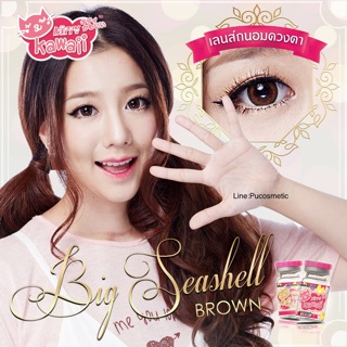 ⏰Min/Big Seashell Brown⏰สายตา-0.50(kitty kawaii)