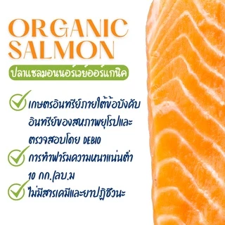 ปลาแซลมอนนอร์เวย์ ออร์แกนิค เนื้อซาชิมิ 100g | Sea DELI Organic Norwegian Salmon Sashimi