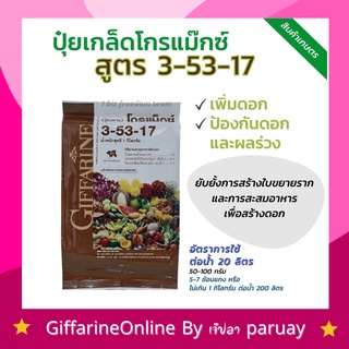 ปุ๋ย โกรแม็กซ์ สูตร 3-53-17 กิฟฟารีน เพิ่มดอก ป้องกันดอกผลร่วง ขยายราก สะสมอาหารเพื่อสร้างดอก ตราดอกเฟื่องฟ้า ขนาด 1กก.