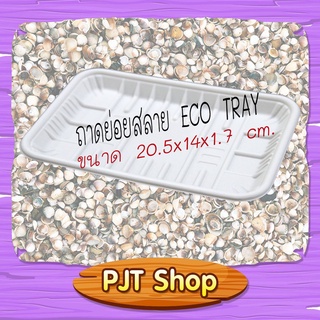 ถาดกระดาษ BIO ECO TRAY (ย่อยสลายได้) ขนาด 20.5X14x1.7 ซม. แพ็ค 50 ชิ้น