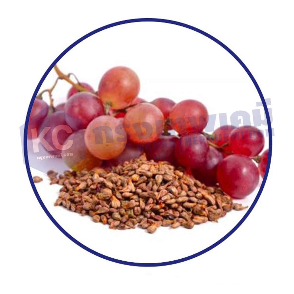 T045GS-25G Grape Seed Extract : สารสกัดเมล็ดองุ่น 25 กรัม ราคา ถูกที่สุด ดีลบีเคเค แกลเลอรีภาพที่ 2