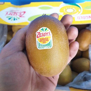 กีวี่ทอง KIWI Zespri SunGold (1ลูก) (NewZealand) ~ลดพิเศษ~ Premium ผลไม้พรีเมี่ยม กีวีสด กีวี่สด กีวีสีทอง กีวี่สีทอง