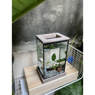 Betta Corner Set ตู้ปลาขนาด 4*5*8 ฐานสีโซลิค พร้อมของตกแต่งในตู้ หินโอ่ง ต้นไม้น้ำติดขอน