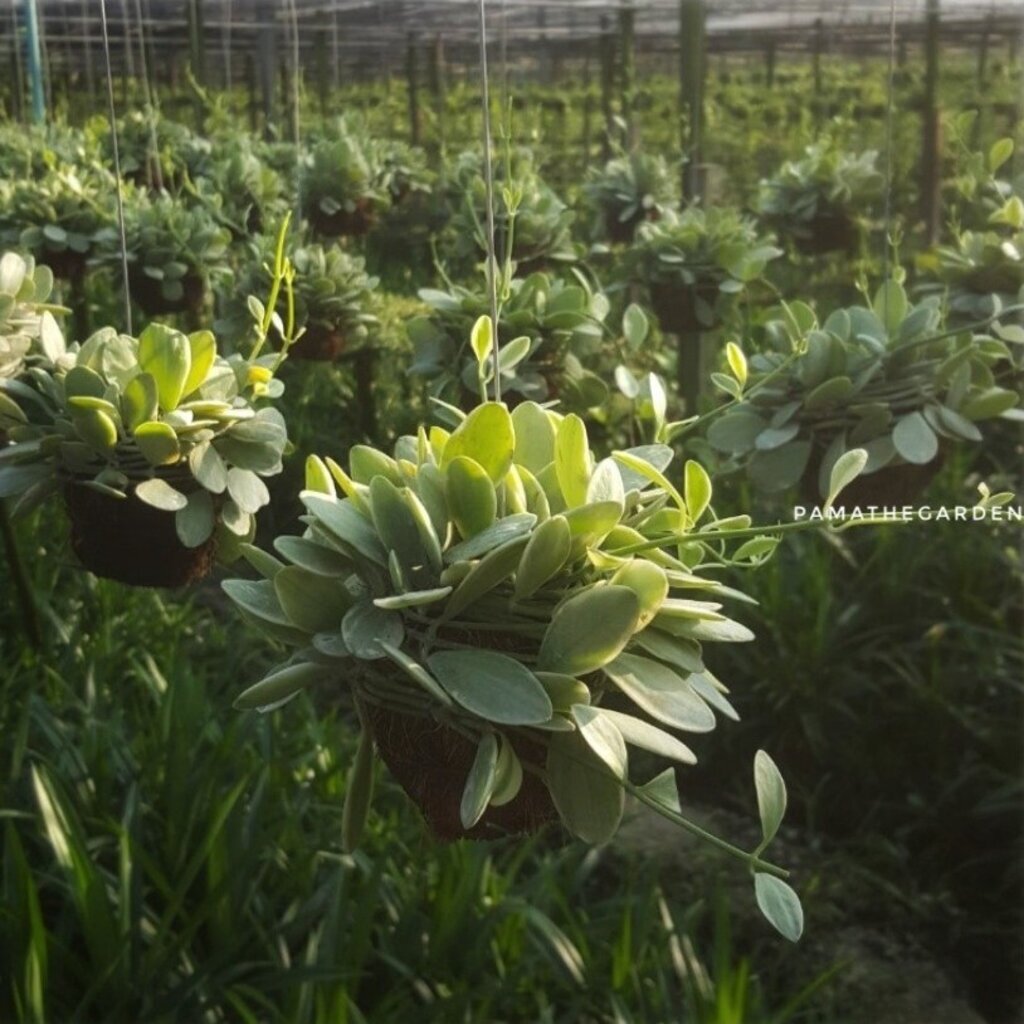 มุมมอง 2