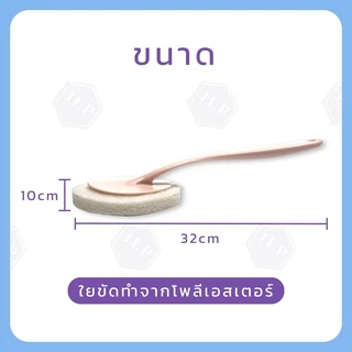 แปรงขัดชักโครก ขัดห้องน้ำ ยาว: 32 ซม. ใยขัดเปลี่ยนใหม่ได้ มีด้ามจับ น้ำหนักเบา ทนทาน