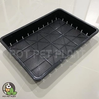 [ขั้นต่ำ2ใบ] ถาดเพาะต้นอ่อน ถาดไดโซะ ปลูกแคคตัส (แบบโปร่ง) - 0256