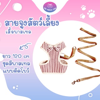 แหล่งขายและราคา[ ABC cat ] [สายจูงพาสเทล ]สายจูง สายจูงสัตว์เลี้ยง พาสเทสอาจถูกใจคุณ