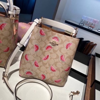 👑ผ่อน0%~แท้100%👑COACH 1619 กระเป๋าสะพาย SMALL TOWN BUCKET BAG IN SIGNATURE CANVAS WITH WATERMELON PRINT