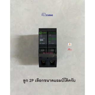 Chang เมน ลูกย่อย 2P เซอร์กิตเบรคเกอร์ ตราช้าง 16A / 20A / 32A / 50A / 63A