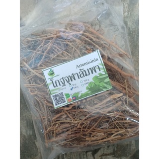 โกฐจุฬาลัมพา (แซเฮา)  ขนาด 100 กรัม พร้้อมส่ง++