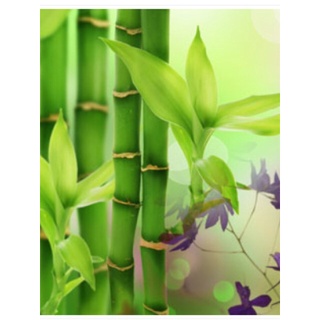 หัวน้ำหอม กลิ่น australian bamboo grass NG 004031