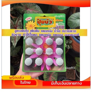 ปุ๋ยบัวช่องาม ปุ๋ยเร่งโต ปุ๋ยบัว ปุ๋ยบอน 12 เม็ด ปุ๋ยเม็ด พร้อมส่ง ส่งไว