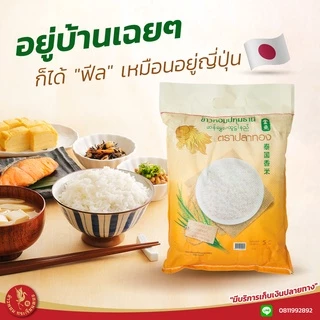 5 กิโลกรัม ข้าวหอมปทุมธานีแท้ ตราปลาทอง เม็ดสีขาวขุ่น เป็นข้าวท้องไข่ *ขนาด 5 กิโลกรัม 1 ถุง* ข้าวราคาถูก ข้าวหอมปทุม