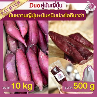 แพ็คคู่ถูกกว่า มันหวานญี่ปุ่น เบนิฮารุกะ 10kg + มันหนึบม่วง 500g  มันหวานญี่ปุ่นนำเข้า มันหนึบ โอกินาว่า