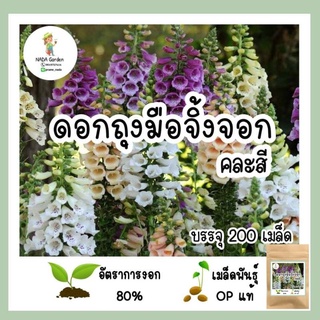 เมล็ดพันธุ์ ถุงมือจิ้งจอก คละสี 200เมล็ด