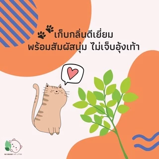 ทรายแมว No Brand กากมันสำปะหลัง ธรรมชาติ ดูดซับ 6 ลิตร เก็บกลิ่นดีที่สุด ทิ้งชักโครกได้ ลูกแมวใช้ได้