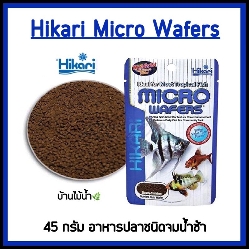 Hikari Micro Wafers อาหารปลาสวยงาม อาหารปลาน้ำจืด ฮิคาริ  | บ้านไม้น้ำ🌿