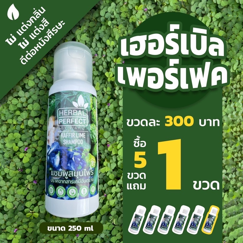 แชมพูสมุนไพรปราศจากสารเคมีอันตราย แชมพูเฮอร์เบิลเพอร์เฟค สั่ง 5 ขวด แถมฟรี 1 ขวด
