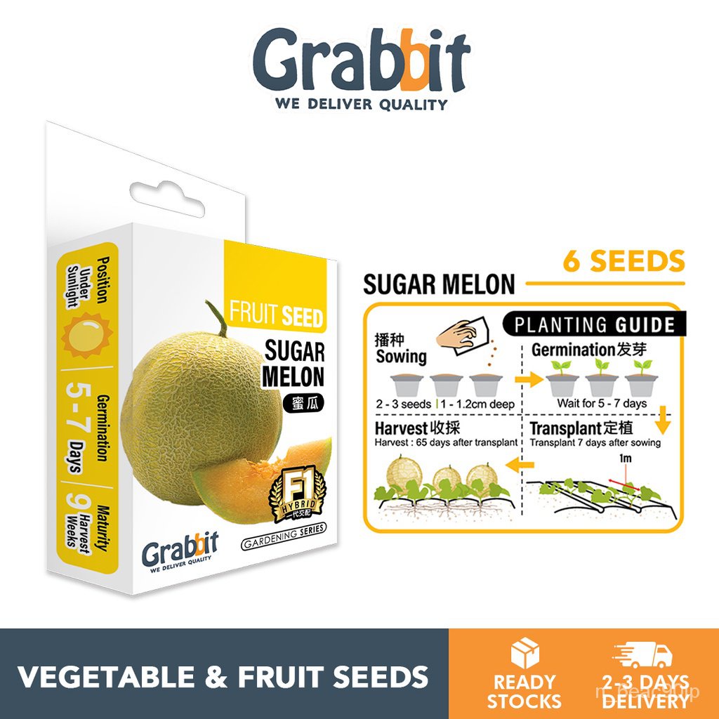 GRABBIT Vegetable &amp; Fruits Seed Biji Benih Sayur Buah-Buahan GRAB-SD-FRมักกะโรนี/ผักชี/บุรุษ/หมวก/ทานตะวัน/เสื้อ/​​กระโป