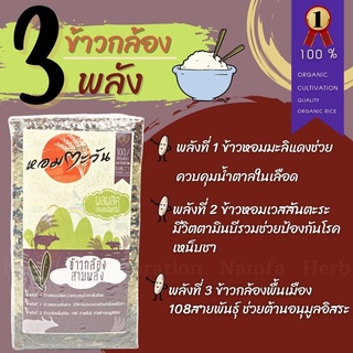 ข้าวกล้องสามพลัง ข้าวหอมมะลิแดง ข้าวกล้อง108สายพันธุ์ ข้าวหอมเวสสันตะระ เพื่อสุขภาพ ไร้สารเคมี เกษตรอินทรีย์ ข้าวใหม่