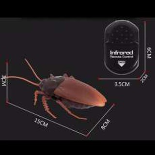 GIANT ROACH แมลงสาบ บังคับด้วยรีโมท เคลื่อนไหวได้เหมือนจริง