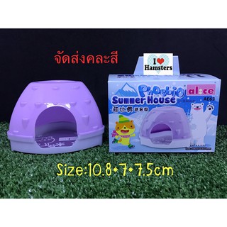 Cool House for Hamster บ้านเย็นสำหรับหนูแฮมสเตอร์