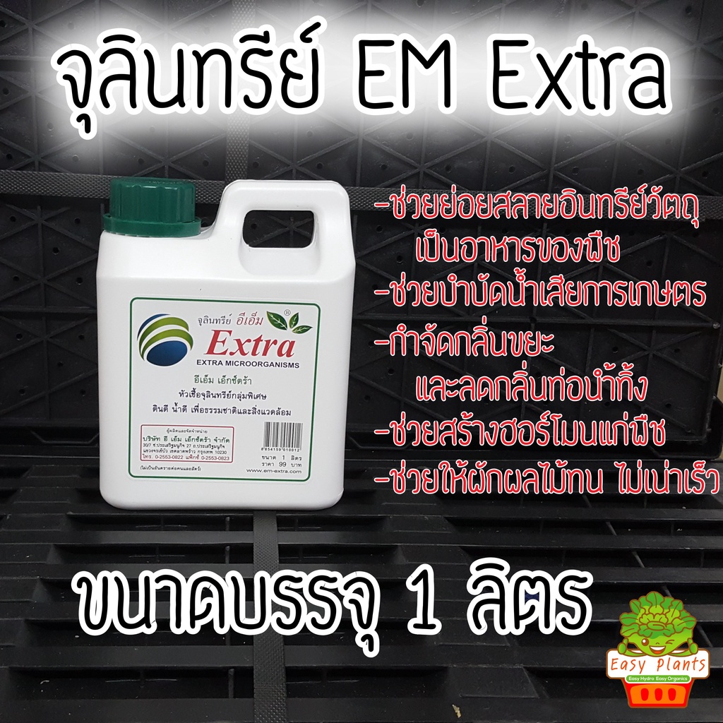 EM Extra หัวเชื้อจุลินทรีย์กลุ่มพิเศษ หัวเชื้อจุลินทรีย์อีเอ็ม EM EXTRA Microorganisms