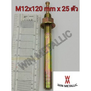 พุกตะปู MR เบอร์ M12x120 mm แพ็คกล่อง จำนวน 25 ตัว