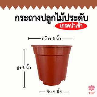 กระถางปลูกต้นไม้ ขนาด 6 นิ้ว พลาสติกสีน้ำตาล เกรดนำเข้า