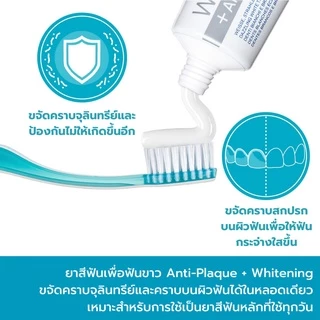 [ฟันขาว-ป้องกันหินปูน] EDELWHITE DUALWHITE ยาสีฟัน ขจัดคราบ SLS-free