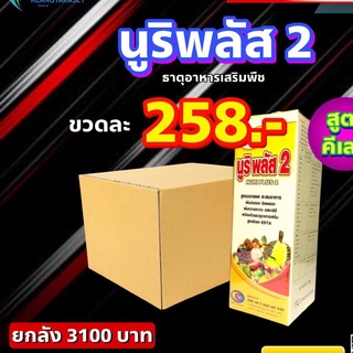 ยกลัง 12 ขวดEDTA คีเลต นูริพลัส 2 ธาตุอาหารรอง ธาตุอาหารเสริมพืช สูตรขยายผล เพิ่มรวงดก น้ำหนักดี พร้อมด้วยธาตุอาหารเสริม