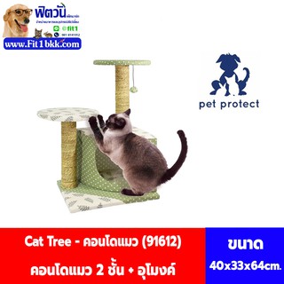 คอนโดแมว 2 ชั้น + อุโมงค์ Cat Tree (91612)