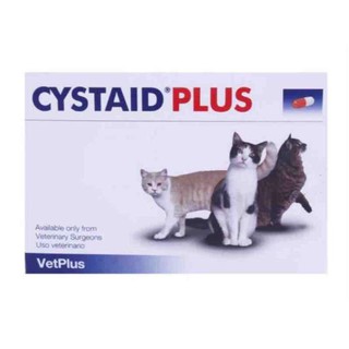 CYSTAID Plus (Exp.04/2024) บรรจุ 30 แคปซูล ซิสเตท พลัส อาหารเสริมโปรตีนสำหรับแมวอายุ 6 เดือนขึ้นไป