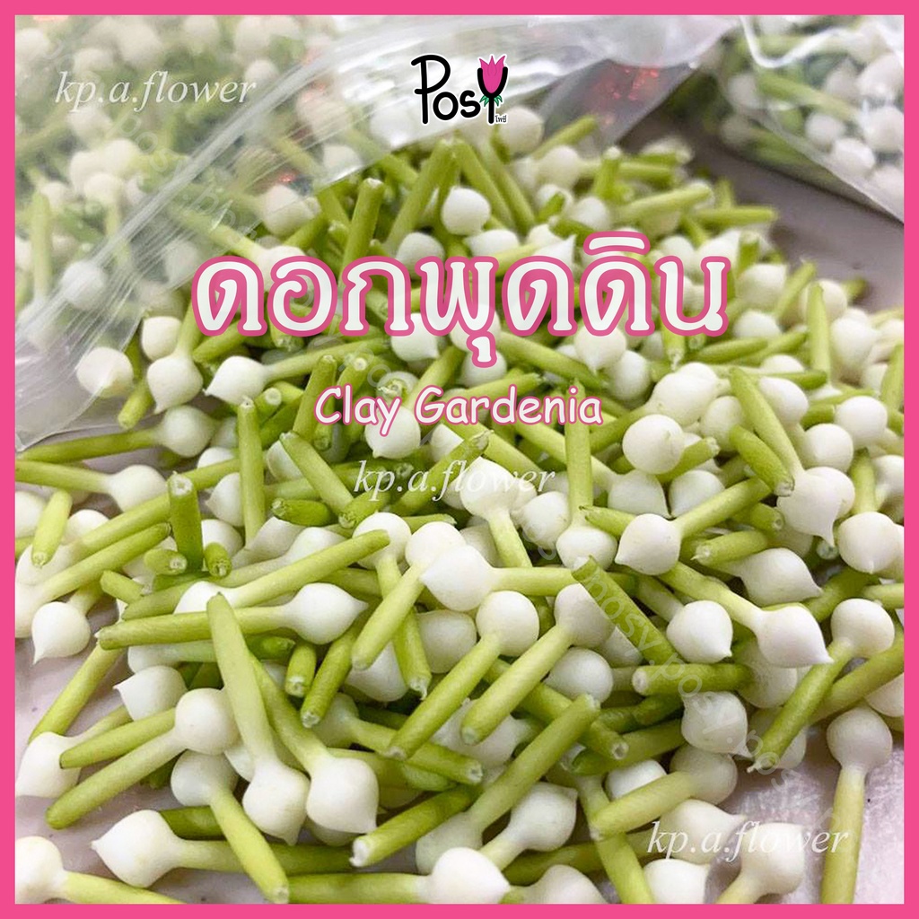 🌼พุดดิน พุดดินปั้นมือ ดอกพุดปลอมร้อยตาข่าย (Clay Gardenia)🌼"มีรูร้อยเข็ม"🔶 ราคาเริ่ม 35 บาท ✅ ส่งไว⚡️งานปั้น Hand-Made